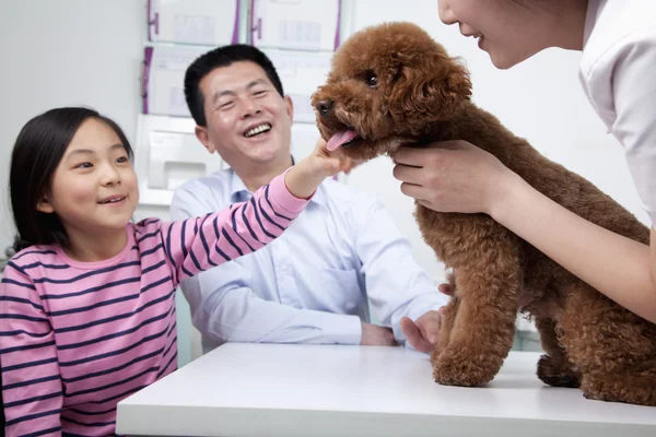 Woman and girl with pet dog in veterinarian\'s office