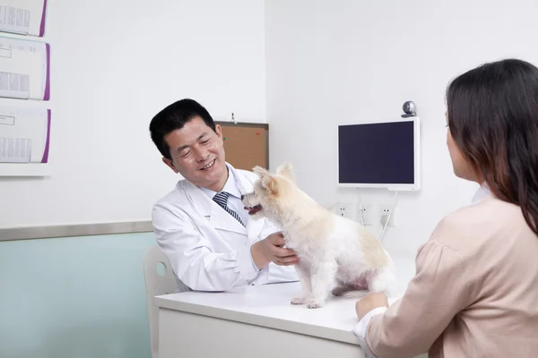 Woman with pet dog in veterinarian's office