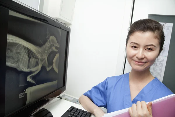 Veterinarian next to animal\'s x-ray