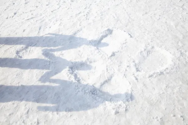 Shadows of Family on the Snow