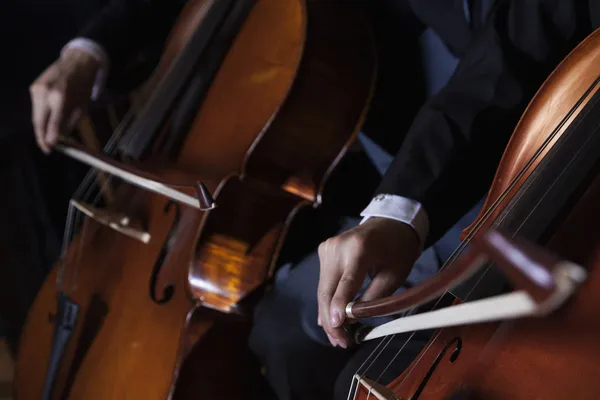 Cellists playing the cello during a performance