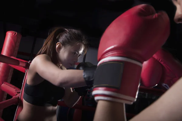 Two female boxers boxing in the boxing ring