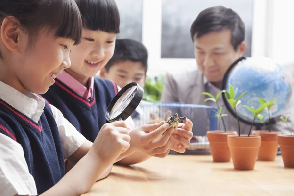 Schoolgirls examining turtle through magnifying glass