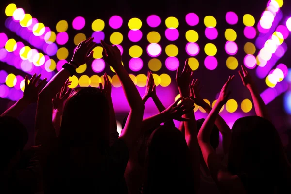 Audience watching a rock show