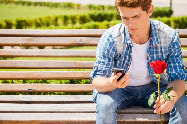 Man holding rose and looking at his mobile phone