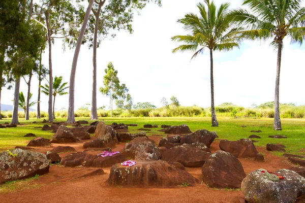 Hawaiian Native Birthing Stones
