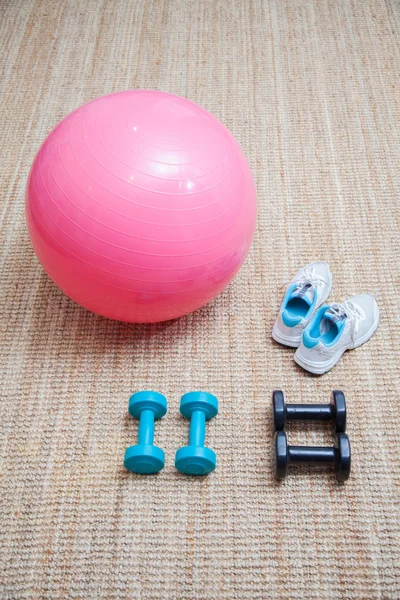 Swiss ball fitness