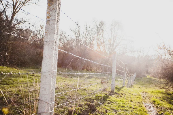 Old fence post