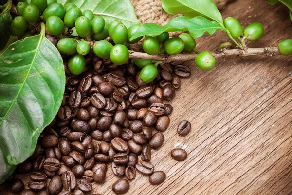 Fresh coffee beans on wood background