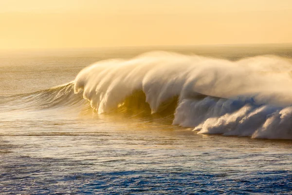 Large Ocean Wave Swell