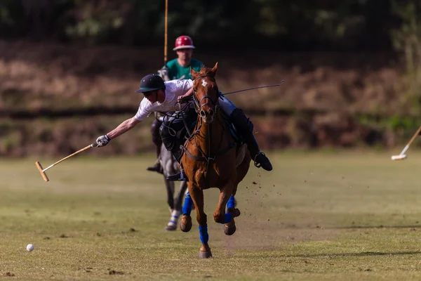 Horse Polo Game Action