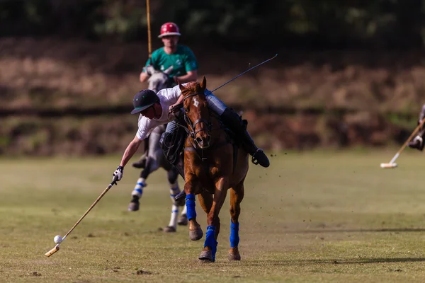 Horse Polo Game Action