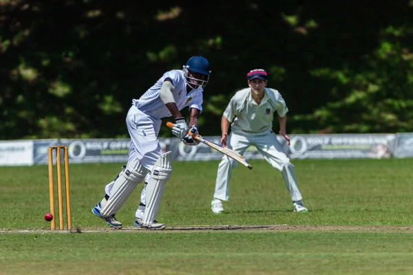 Cricket Game Action