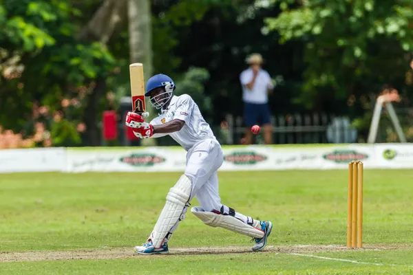 Cricket Game Action