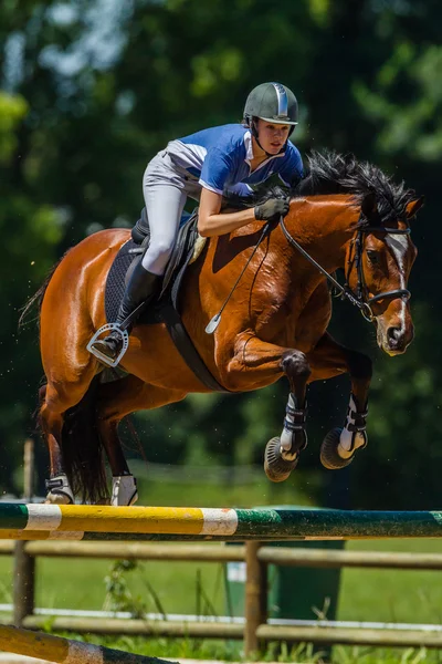 Equestrian Girl Horse Jumping Competition