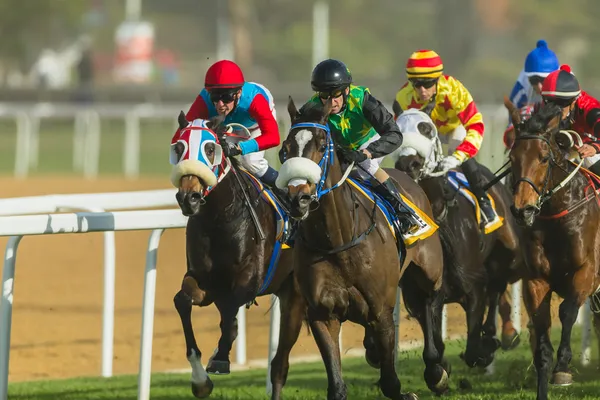 Horse Racing Jockeys Action