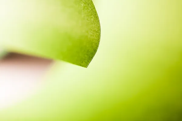 Abstract background picture of a green paper