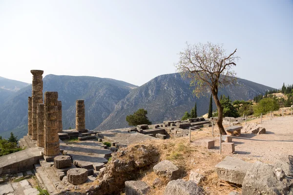 Greece, Delphi. The Temple of Apollo