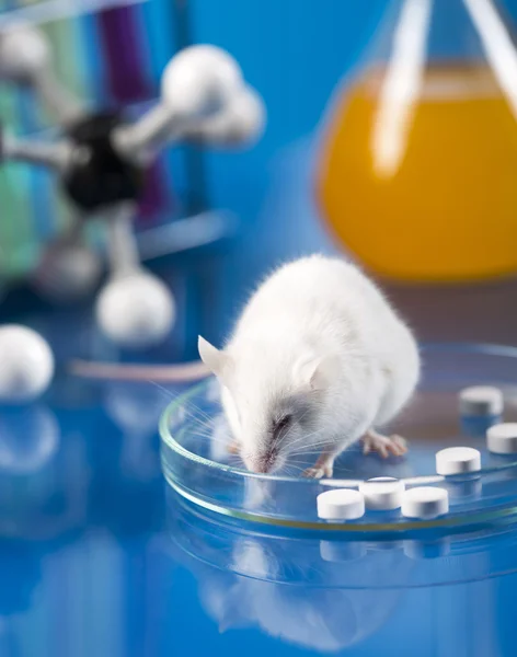 Workplace modern laboratory for molecular biology test on blue background