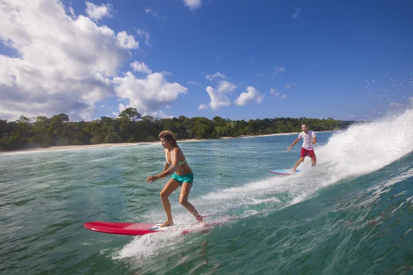 Female and male surfers