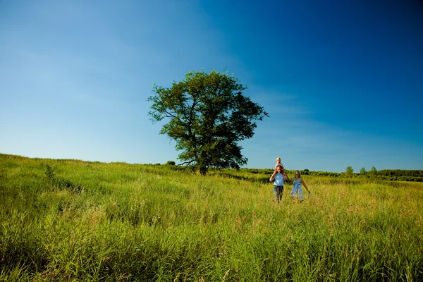 Happy family walks in the summer on the field