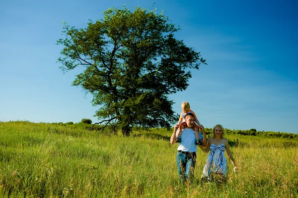 Happy family walks in the summer on the field