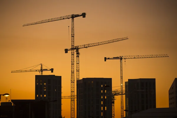 Cranes at sunset. Industrial construction cranes and building silhouettes over sun at sunrise.