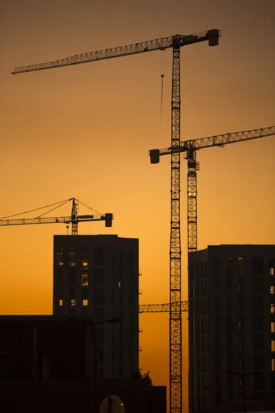 Cranes at sunset. Industrial construction cranes and building silhouettes over sun at sunrise. In vertical format.