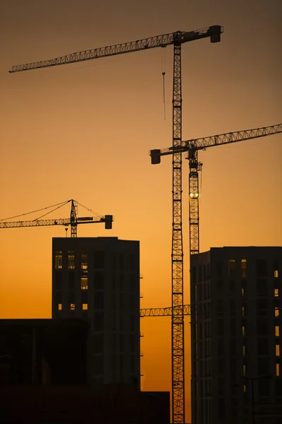 Cranes at sunset. Industrial construction cranes and building silhouettes over sun at sunrise. In vertical format.