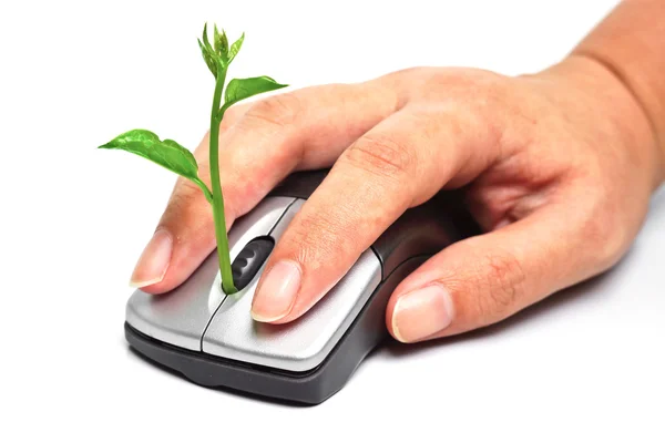 Hands holding a tree growing on a mouse