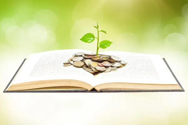 Tree growing from books with coins
