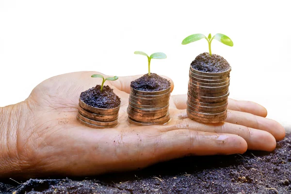 Hands holding tress growing on coins