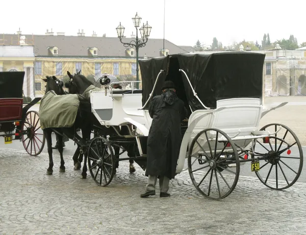 Man  sitting down in the carriage horses. Retro photo