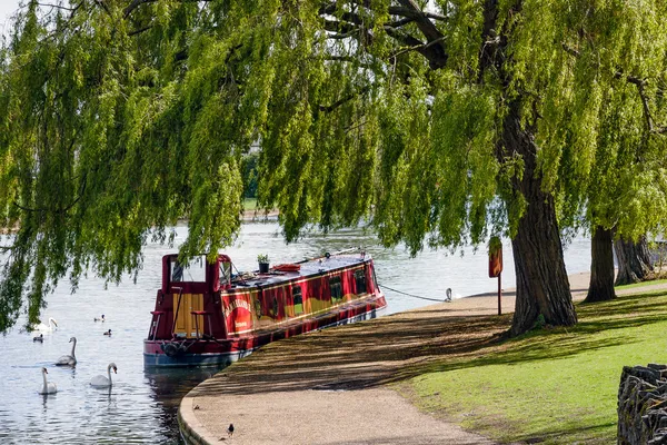 Narrow boat moored under a willow tree in Windsor