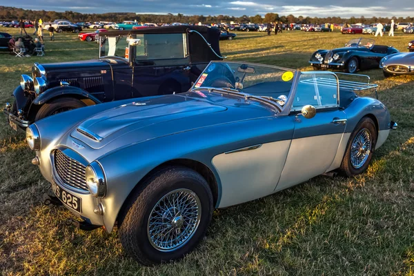 Old Austin Healey sports car parked at Goodwood