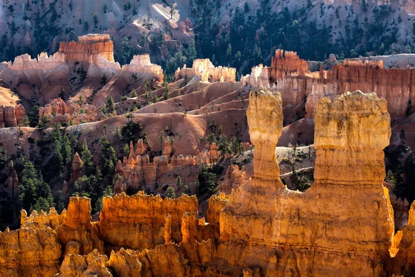 Scenic view of Bryce Canyon Southern Utah USA