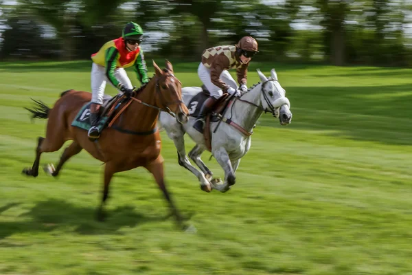 Point to point racing at Godstone Surrey horse