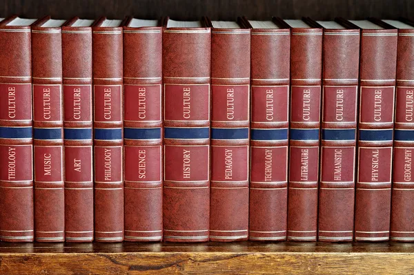 Row of books on a shelf with titles in English