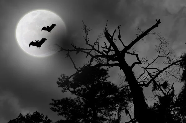 Spooky Night Sky Cloudy Full Moon Bats