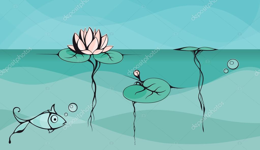 Lotus in a pond (underwater view) — Stock Vector © veronika_by 37487999