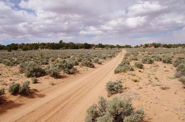 House Rock Valley road in desert, Utah