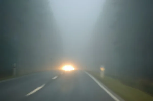 Bad weather driving - country road - caution fog