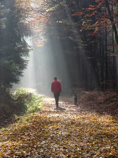 Man walking with a black dog in a sunny autumn day