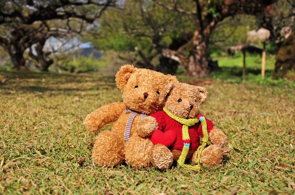 Two teddy bears sitting in the garden with love.