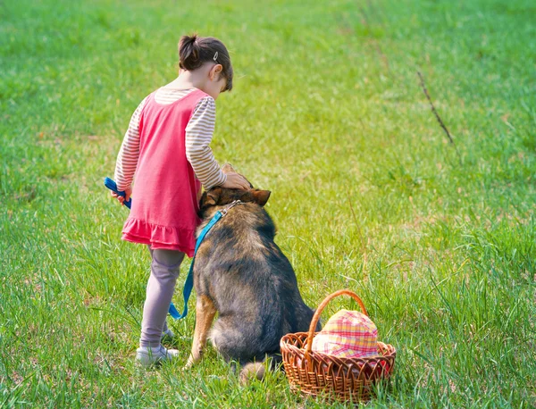 Little girl with dog on picnic