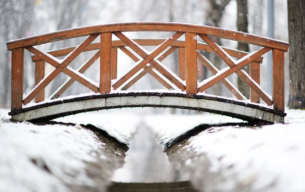 Small bridge in a park