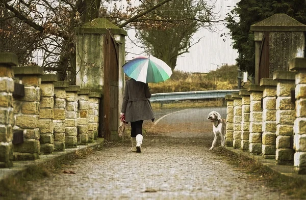 Woman with an umbrella walks with her dog in the rain outside