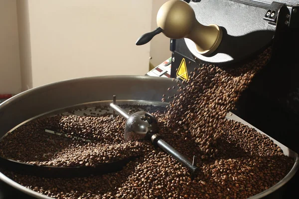 Freshly roasted coffee beans