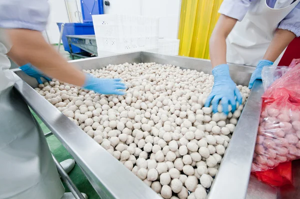 Drying pork meat ball