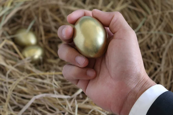 Businessman holding golden egg from nest